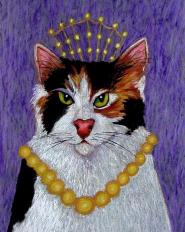 [Tiara cat]