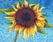[Sunflower]