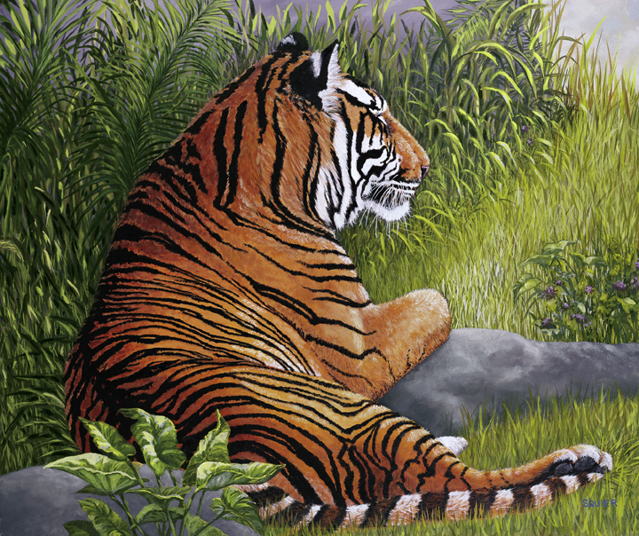 [Tiger]