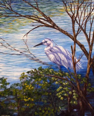 [Wading for Lunch]